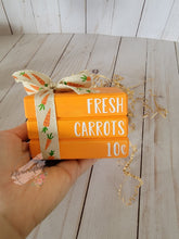Load image into Gallery viewer, Bunnies Carrot Patch Collection