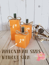 Load image into Gallery viewer, Set of 3 Rustic Wooden Pumpkins
